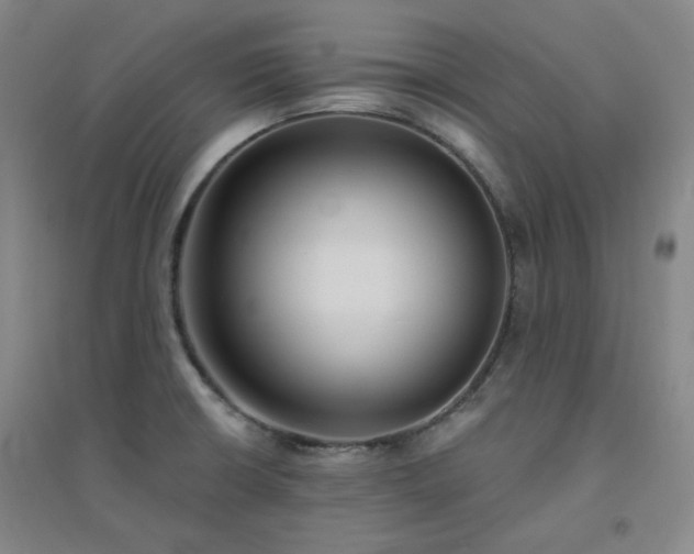 X0000094421426200711151310