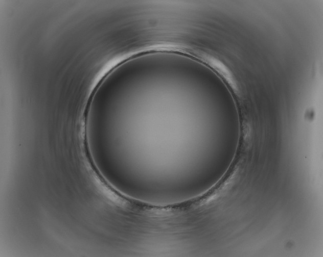 X0000094421428200711151310