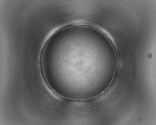 X0000094421429200711151310