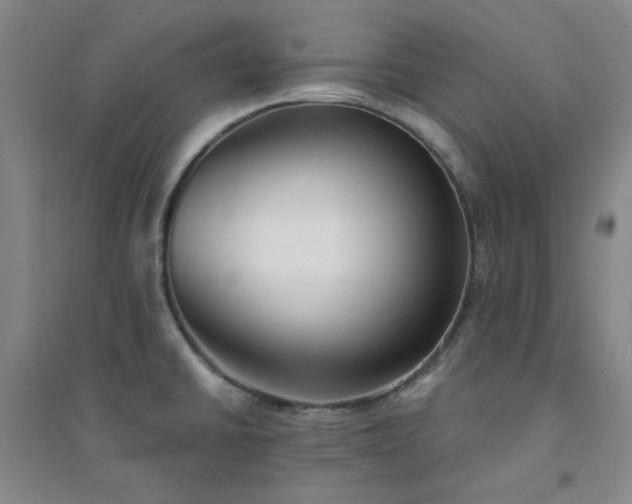 X0000094421430200711151310