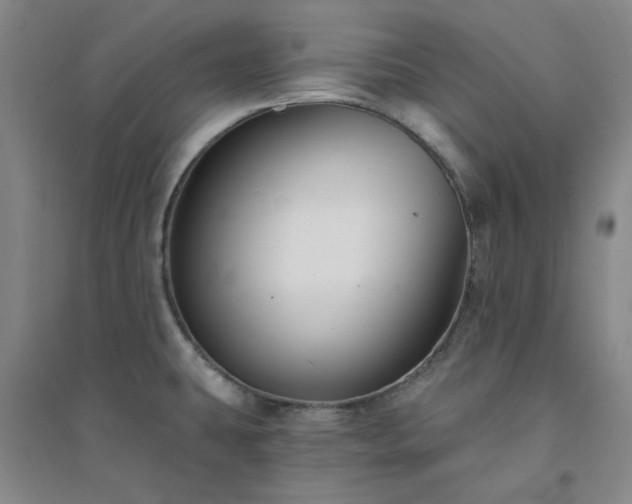 X0000094421431200711151310