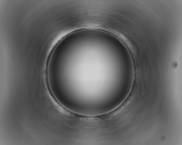 X0000094421432200711151310