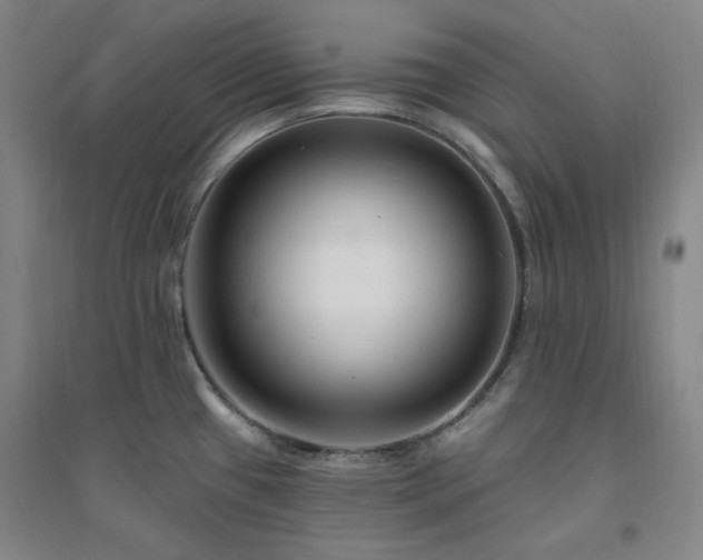 X0000094421433200711151310