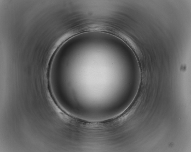 X0000094421434200711151310