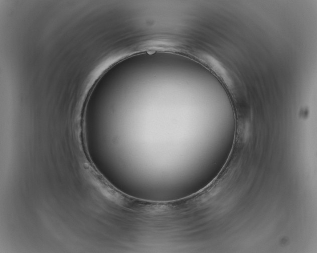 X0000094421435200711151310