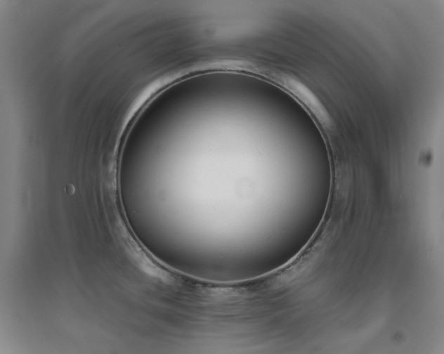 X0000094421436200711151310