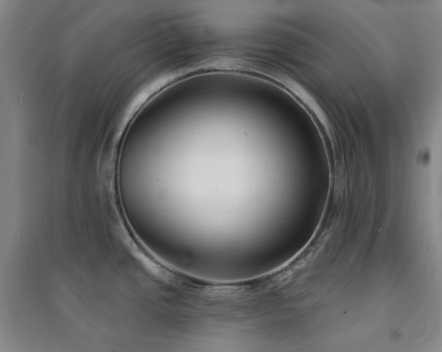 X0000094421437200711151310