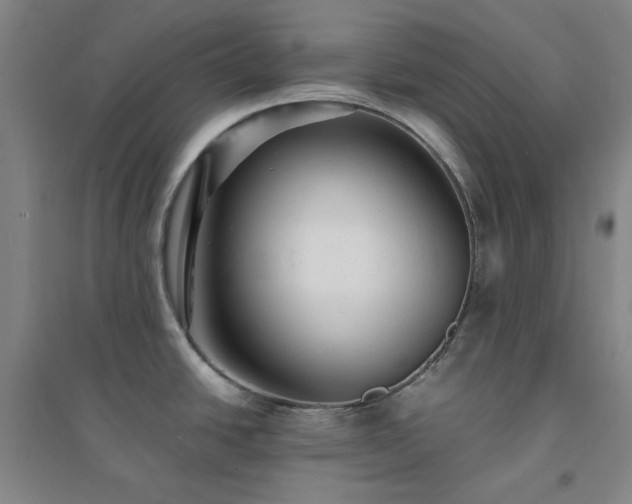 X0000094421438200711151310