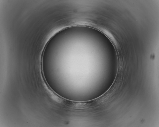 X0000094421439200711151310