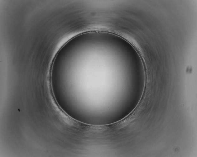 X0000094421440200711151310