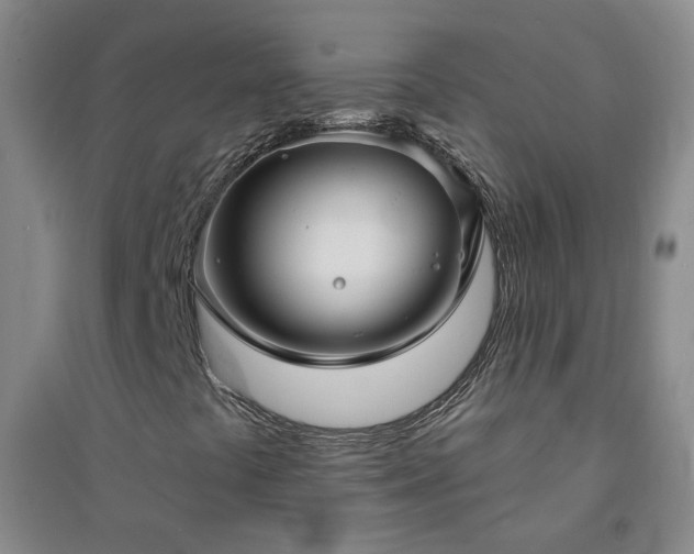 X0000094421441200711151310