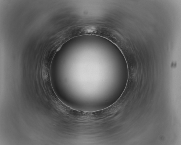X0000094421442200711151310