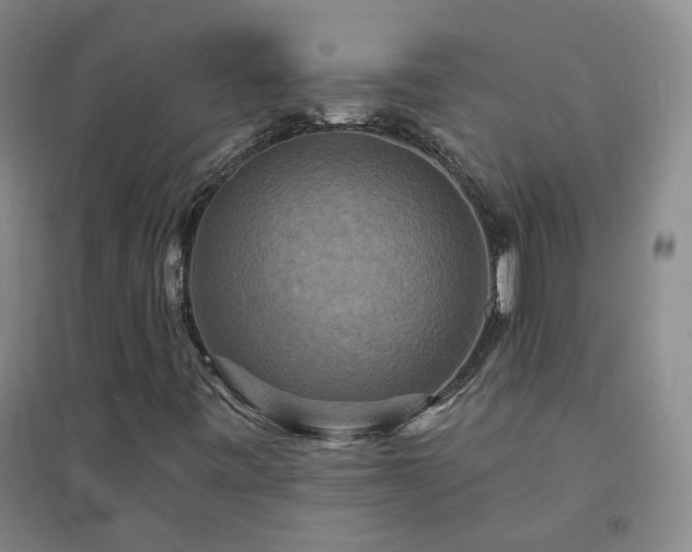 X0000094421443200711151310