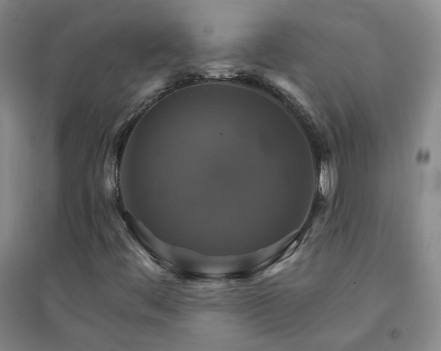X0000094421444200711151310