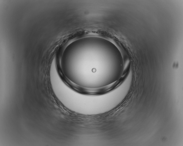 X0000094421445200711151310