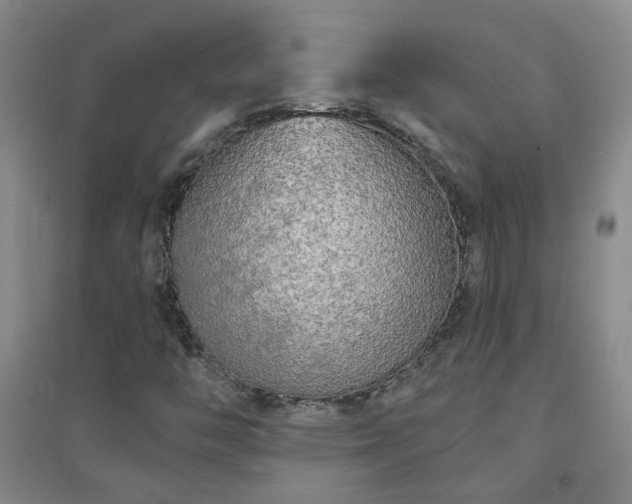X0000094421446200711151310