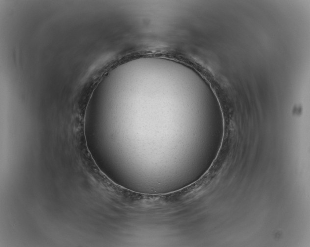 X0000094421447200711151310