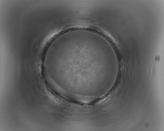 X0000094421448200711151310