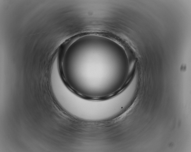 X0000094421449200711151310