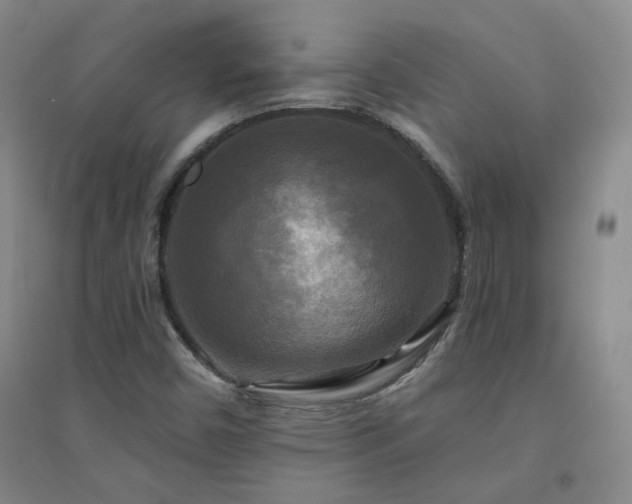 X0000094421450200711151310