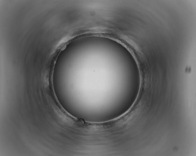 X0000094421451200711151310