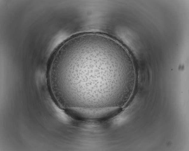 X0000094421452200711151309