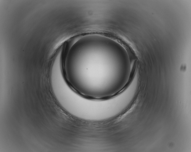 X0000094421453200711151309