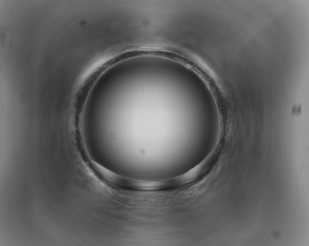 X0000094421456200711151309