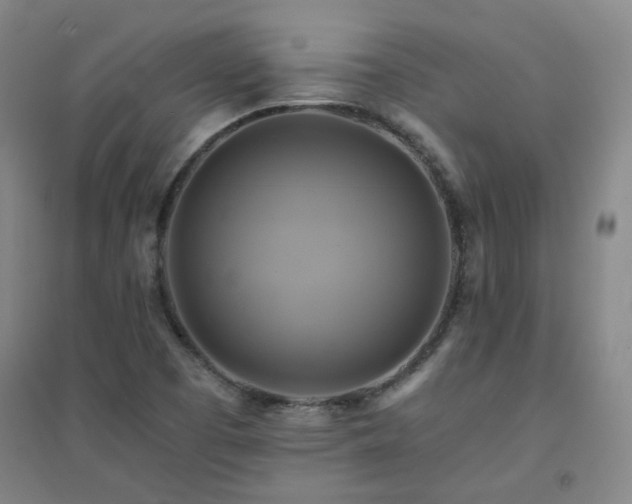 X0000094421457200711151309