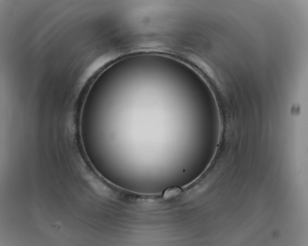 X0000094421458200711151309