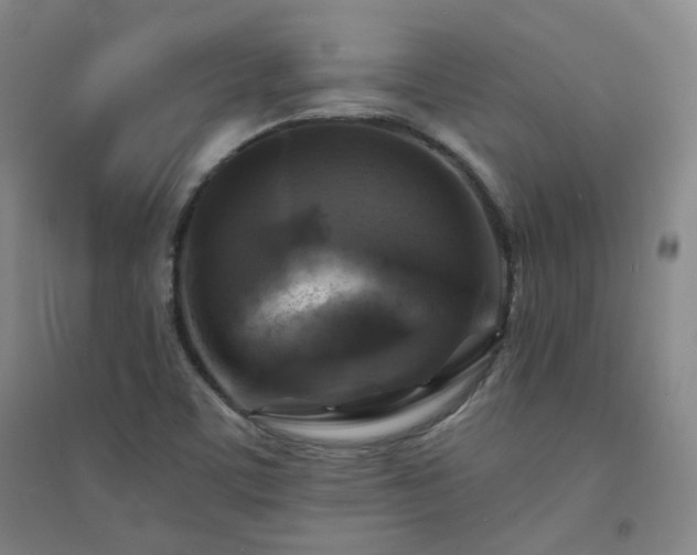 X0000094421459200711151309