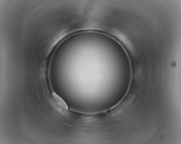 X0000094421460200711151309
