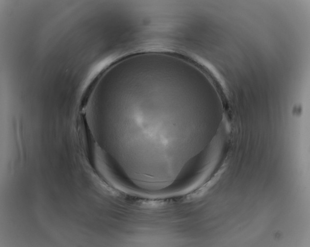 X0000094421461200711151309