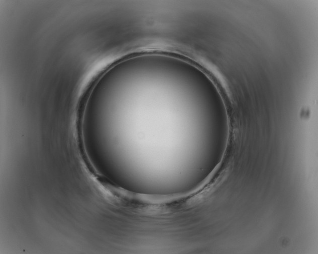 X0000094421464200711151309