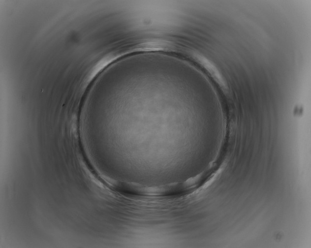 X0000094421465200711151309