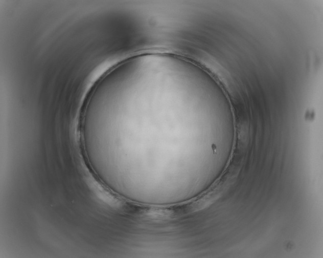 X0000094421466200711151309