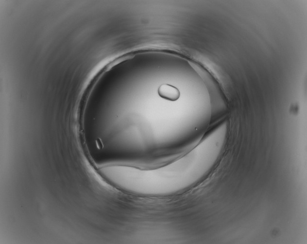 X0000094421468200711151309