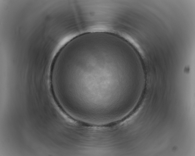 X0000094421469200711151309