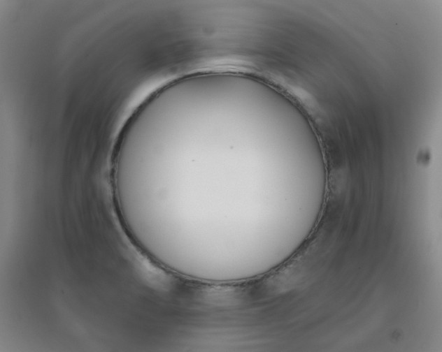 X0000094421470200711151309