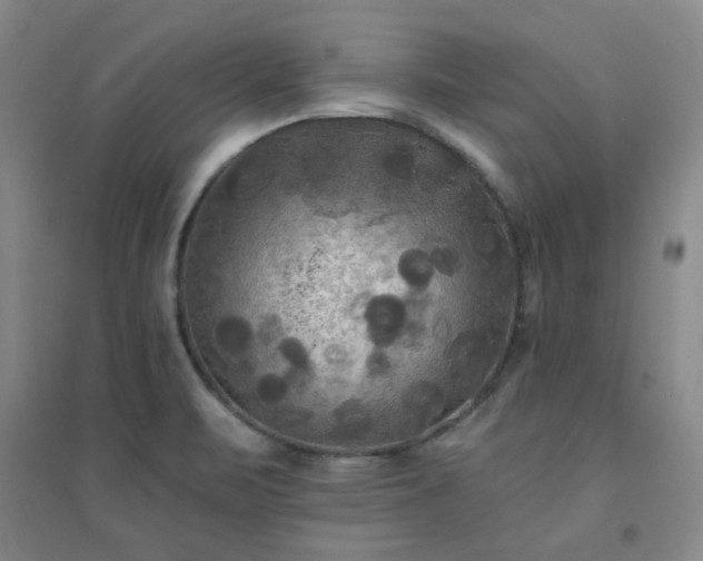 X0000094421471200711151309