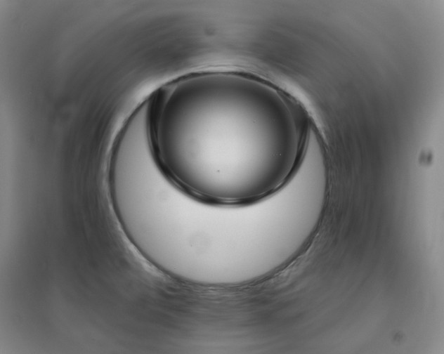 X0000094421472200711151309