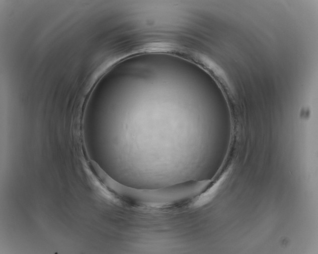 X0000094421473200711151309
