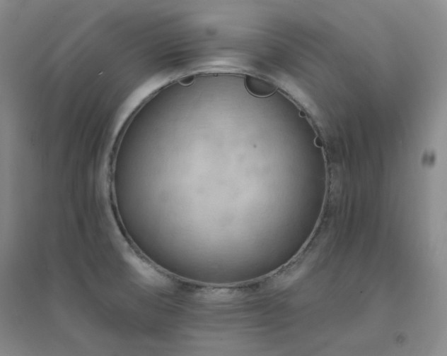 X0000094421474200711151309