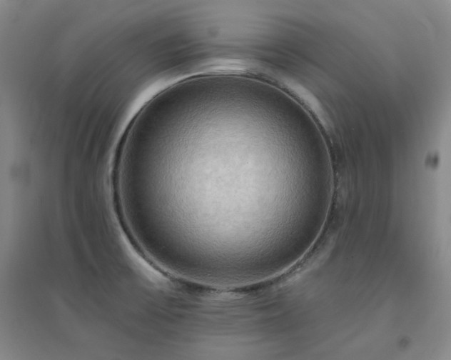 X0000094421475200711151309