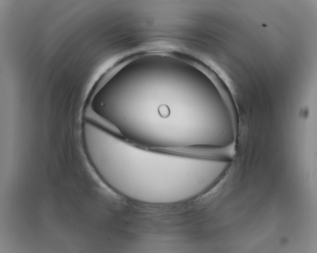 X0000094421477200711151309