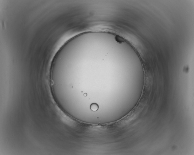 X0000094421478200711151309