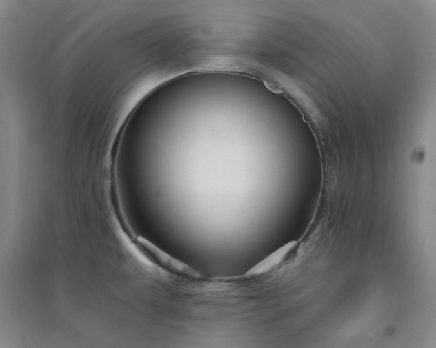 X0000094421479200711151309