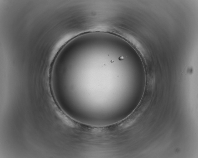 X0000094421480200711151309