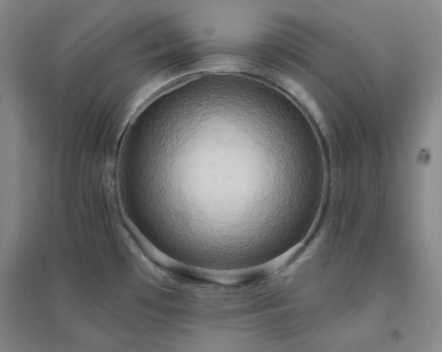 X0000094421481200711151309