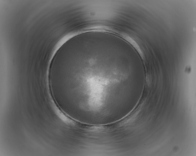 X0000094421482200711151309